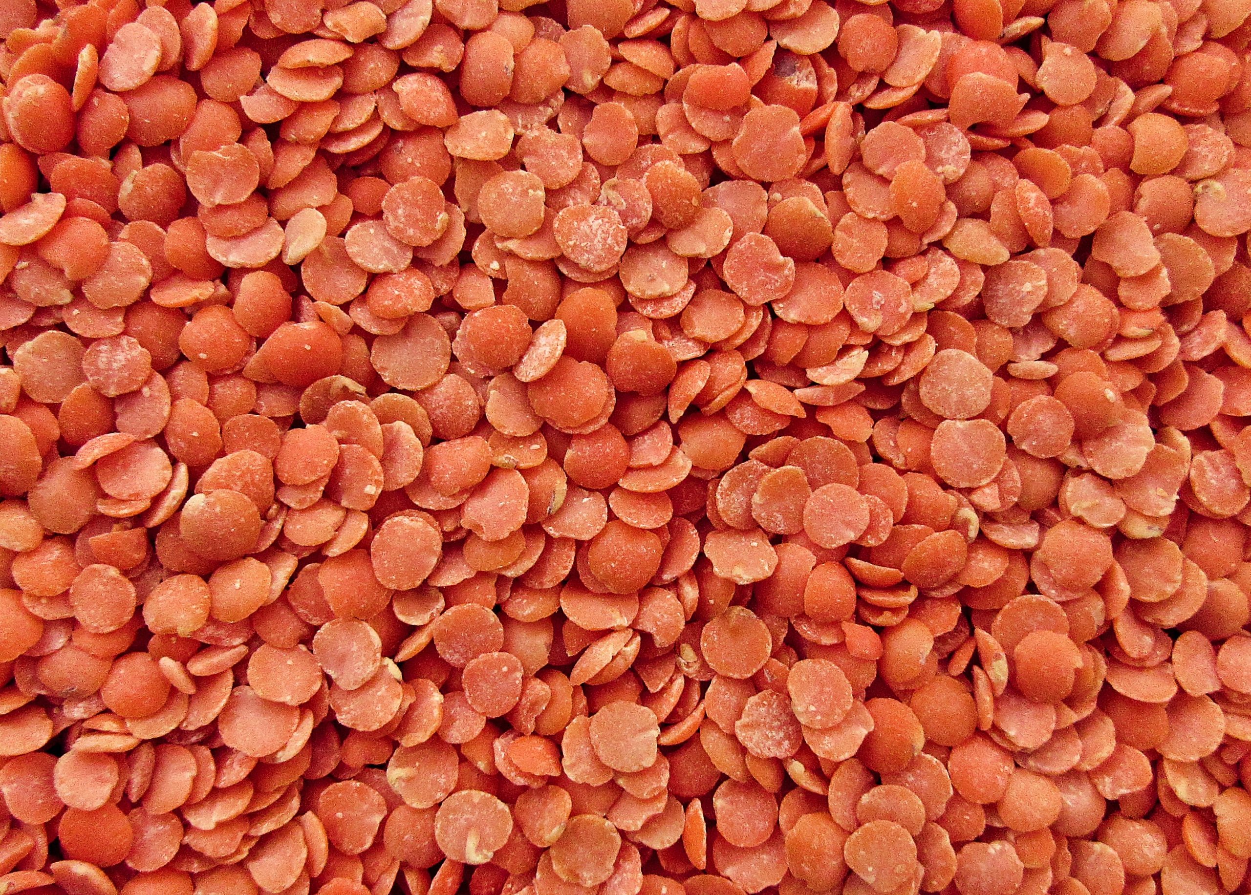 food for fitness - red lentils